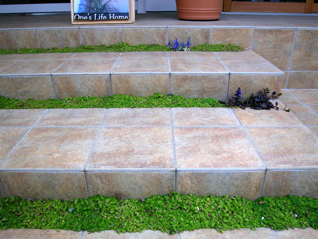 2006年　東京都　住宅展示場