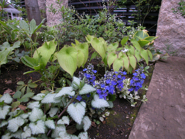 2006年　東京都　住宅展示場
