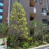 2007年 東京都 マンション外構・造園