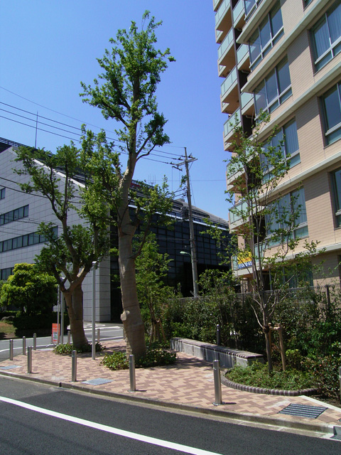 2007年　東京都　マンション外構・造園