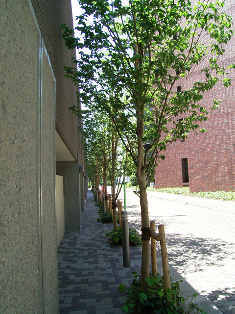 2007年　東京都　マンション外構・造園