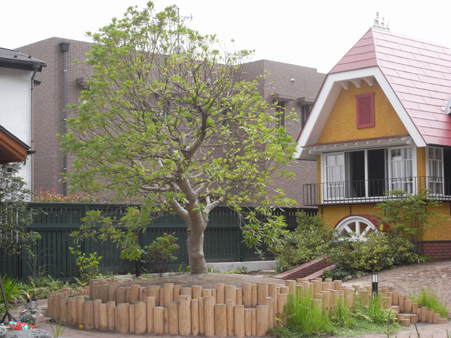 2008年　東京都　保育園