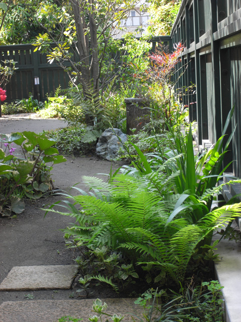 2008年　東京都　保育園