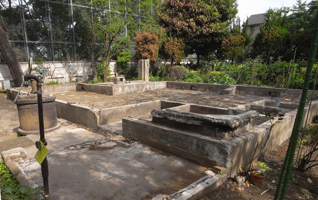 2010年　東京都杉並区　Aさんの庭