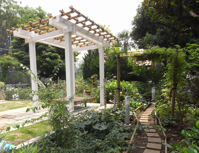 2010年　東京都杉並区　Aさんの庭