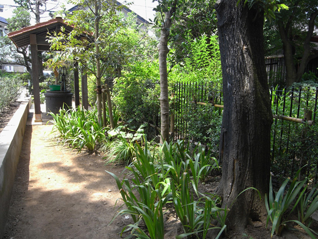 2010年　東京都杉並区　Aさんの庭