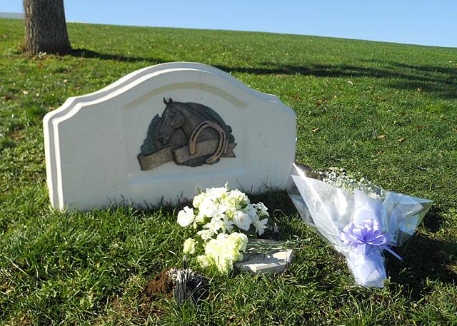 2010年　栃木県　愛馬慰霊碑