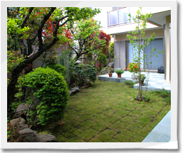 モダンな建物と調和する和風の庭