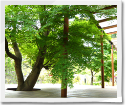 ドキドキ・ワクワクするような遊び場としての庭